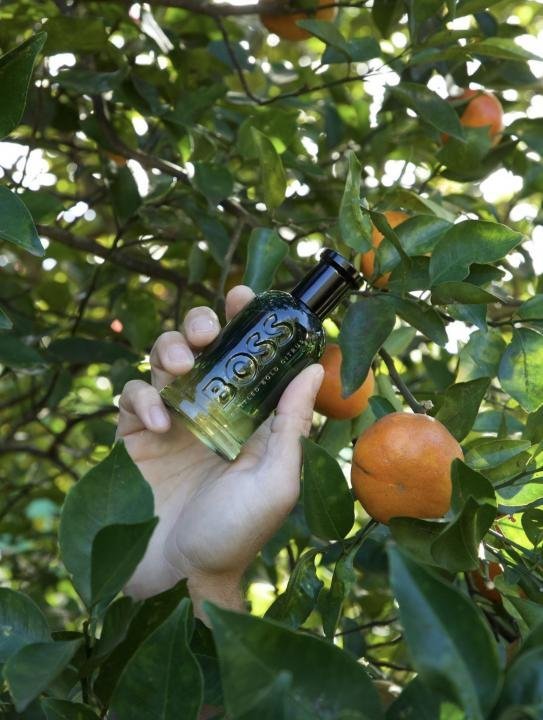 HUGO BOO_S Bottled Vold Citrus For Men's