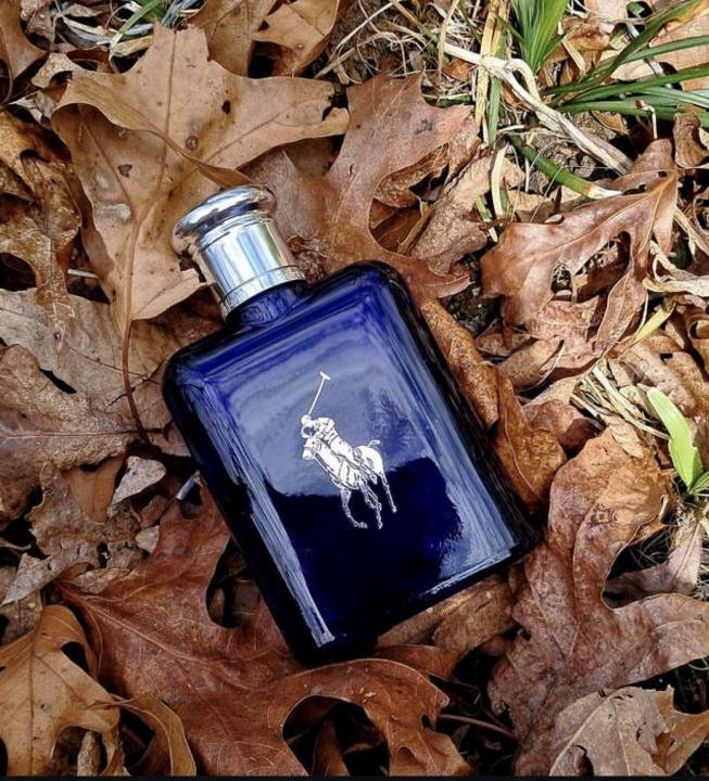 RALPH LAURE_N POLO BLUE For Men's