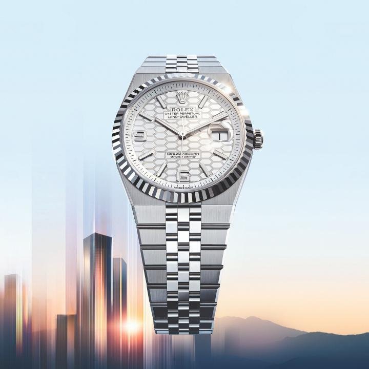 Rolex Oyster Perpetual Land Dweller Silver White